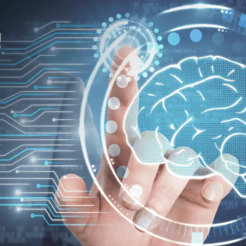 Ver lo que todos han visto, pensar lo que nadie ha pensado